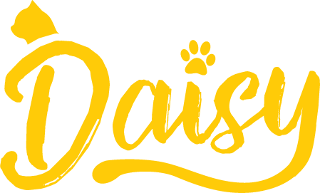 Daisy Pet