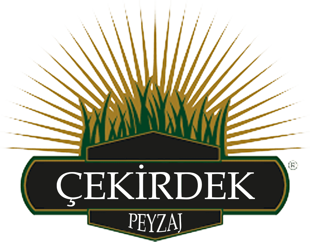 Çekirdek Peyzaj