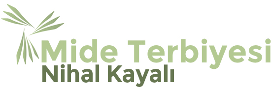 Mide Terbiyesi
